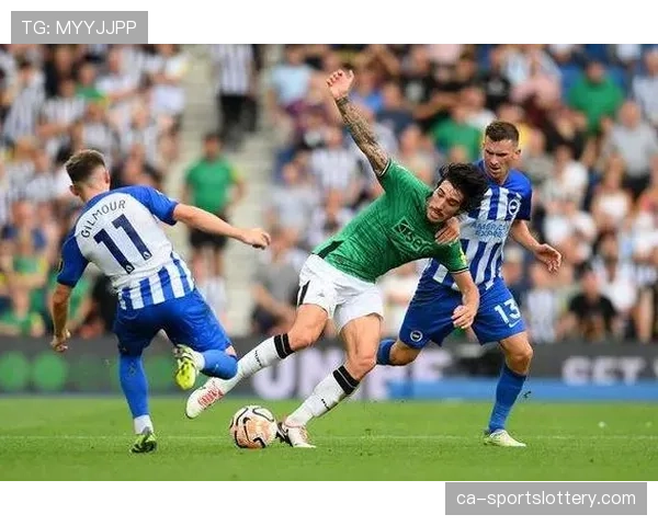 纽卡斯尔主教练专访:详解我们如何构建两道防线的转换弹性 纽卡斯尔主教练专访:详解我们如何构建两道防线的转换弹性